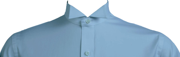 Collar 1